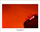dailyPhoto32