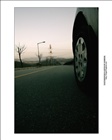 dailyPhoto31