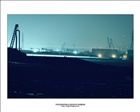 dailyPhoto8