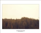 dailyPhoto23