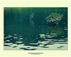 dailyPhoto28