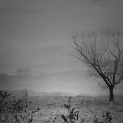 dailyPhoto21
