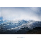 dailyPhoto9