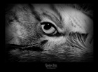 dailyPhoto31