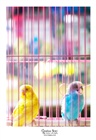 dailyPhoto15