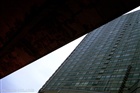 dailyPhoto15
