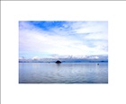 dailyPhoto8