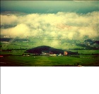 dailyPhoto6