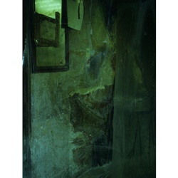 dailyPhoto40