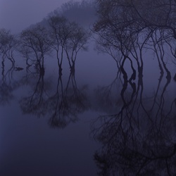 dailyPhoto30