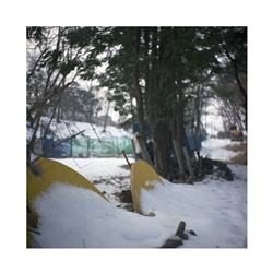 dailyPhoto4