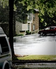 dailyPhoto9