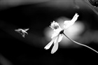 dailyPhoto14