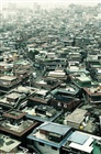 dailyPhoto10