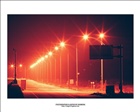 dailyPhoto5