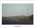 dailyPhoto7