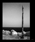 dailyPhoto3