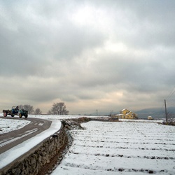 dailyPhoto20
