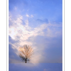 dailyPhoto22