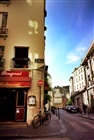 dailyPhoto11