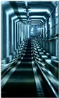 dailyPhoto25