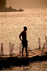 dailyPhoto9