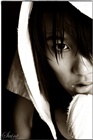dailyPhoto38