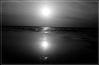 dailyPhoto16
