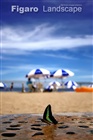 dailyPhoto31
