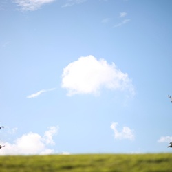 dailyPhoto9