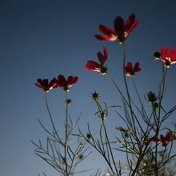 dailyPhoto23