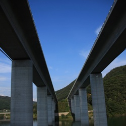 dailyPhoto5