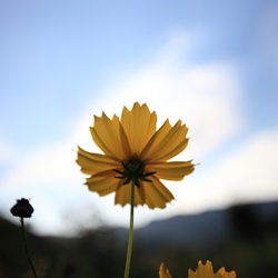 dailyPhoto30