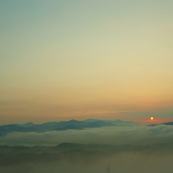 dailyPhoto8