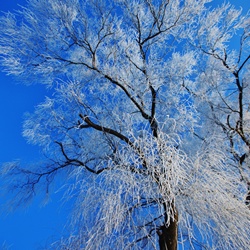 dailyPhoto13
