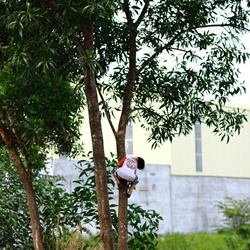 dailyPhoto40