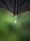 dailyPhoto7
