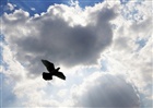 dailyPhoto31