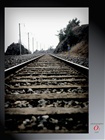 dailyPhoto27