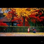 dailyPhoto36