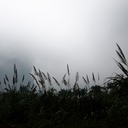dailyPhoto5