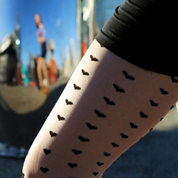 dailyPhoto5