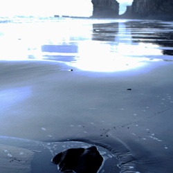 dailyPhoto34