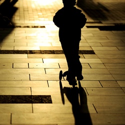 dailyPhoto3