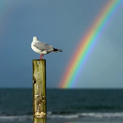 dailyPhoto20