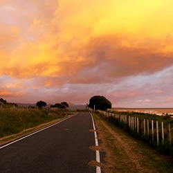 dailyPhoto2