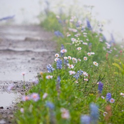 dailyPhoto1