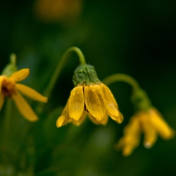 dailyPhoto19