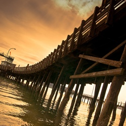 dailyPhoto19