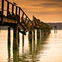 dailyPhoto2